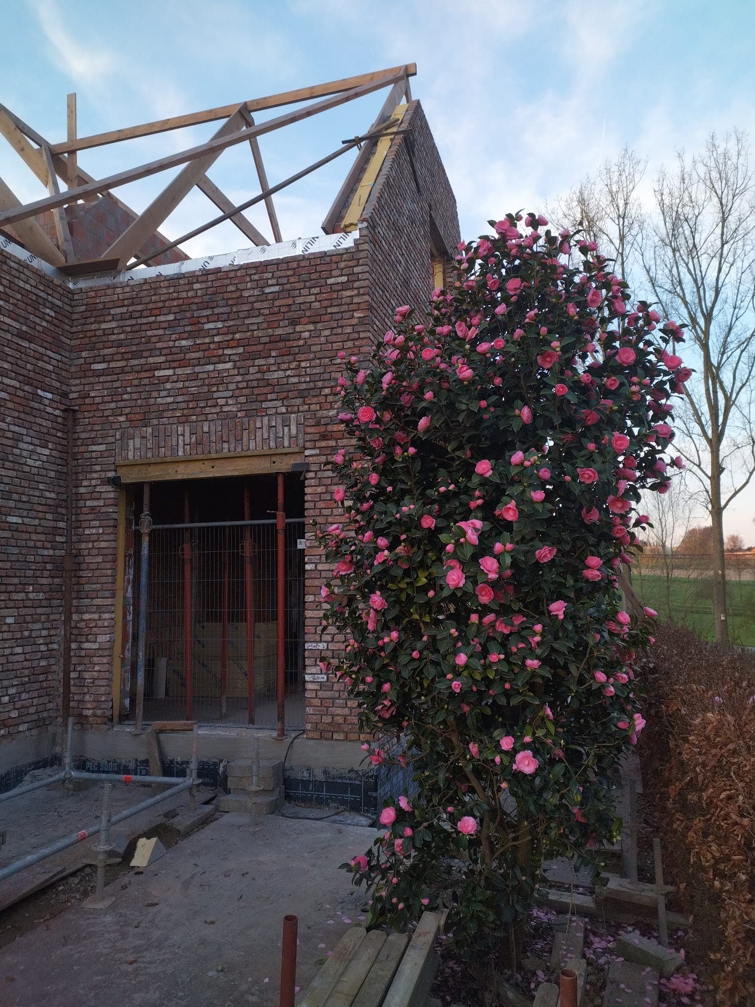 Nieuwbouw realisatie Maarkedal